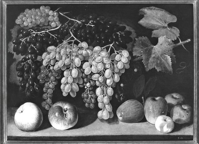 Anonimo — Autore non indicato - sec. XVIII - Natura morta con uva e mele — insieme